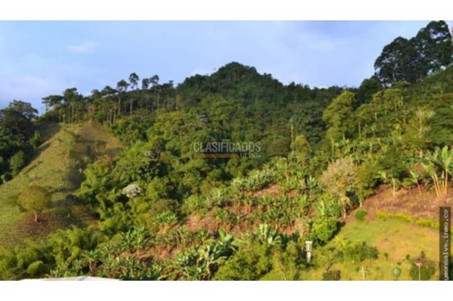 Apartaestudios, Venta, Pereira - $245.000.000