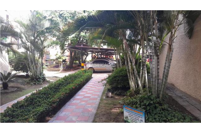 Apartamentos, Venta, Pacará - $230.000.000