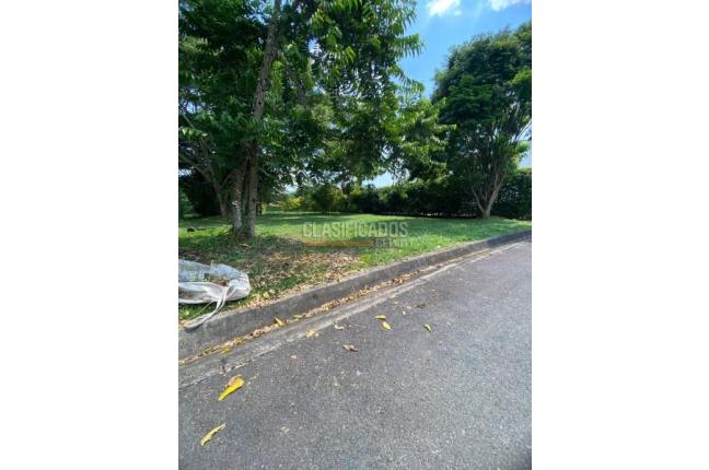 Lotes, Venta en Jamundí