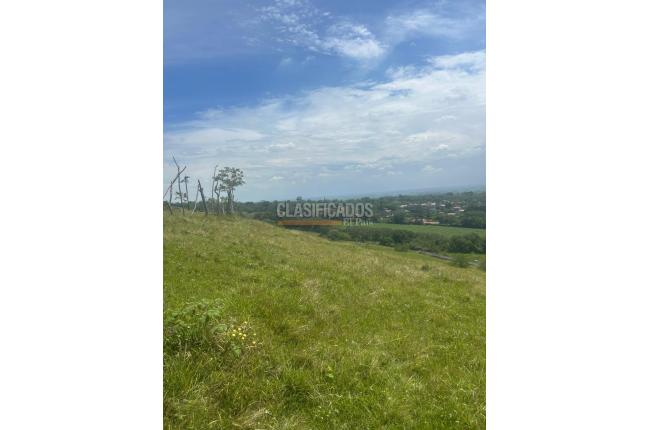 Lotes, Venta, Palmira - $572.000.000