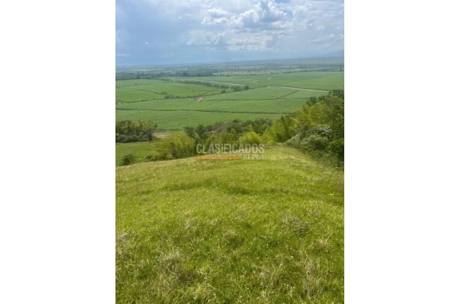 Lotes, Venta, Palmira - $572.000.000