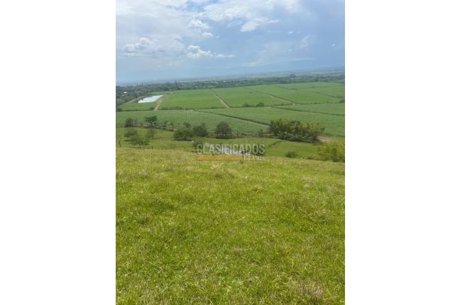 Lotes, Venta, Palmira - $572.000.000