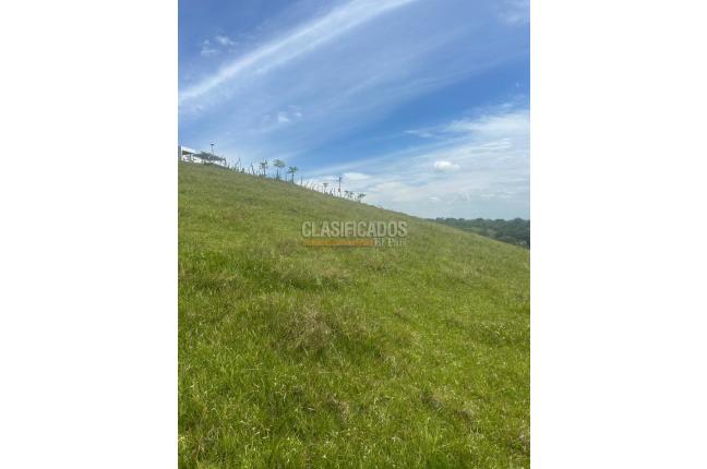 Lotes, Venta, Palmira - $572.000.000