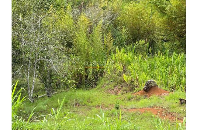 Lotes, Venta, Dagua - $155.000.000