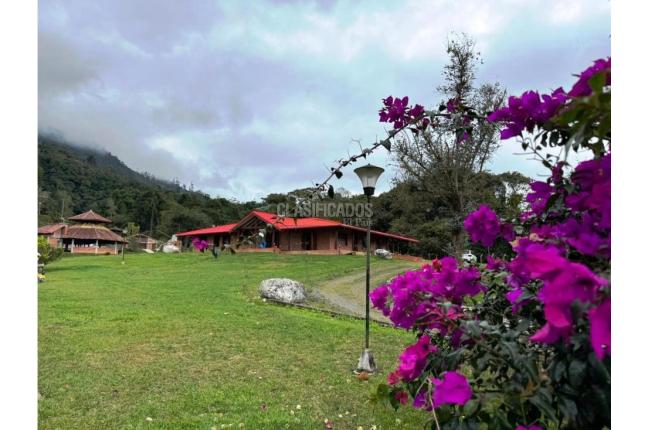 Fincas y Casas Campestres, Venta en Dagua