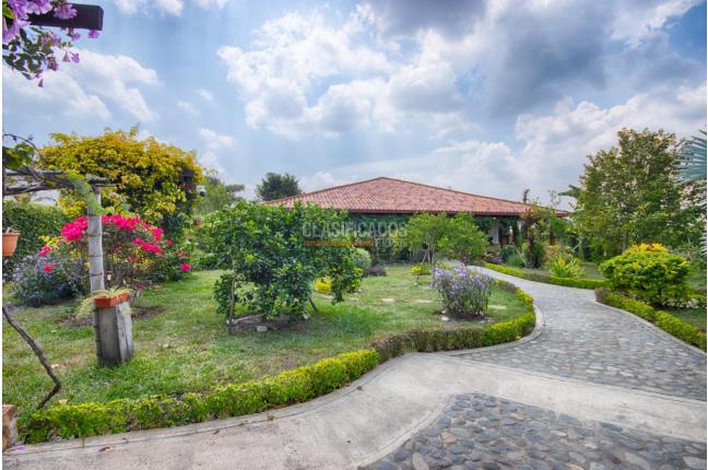 Fincas y Casas Campestres, Venta, Palmira - $1.100.000.000
