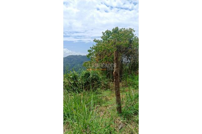 Lotes, Venta, Pance - $2.300.000.000