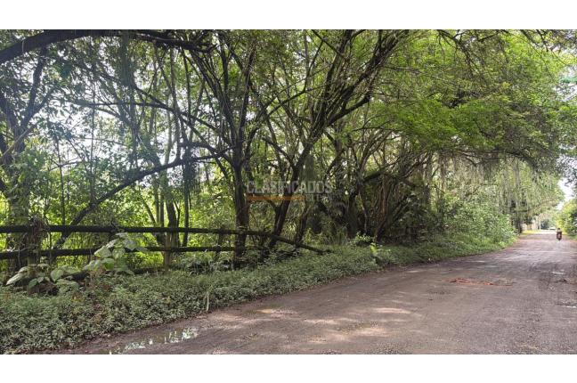 Lotes, Venta en Pance