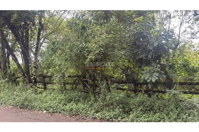 Lotes, Venta en Pance