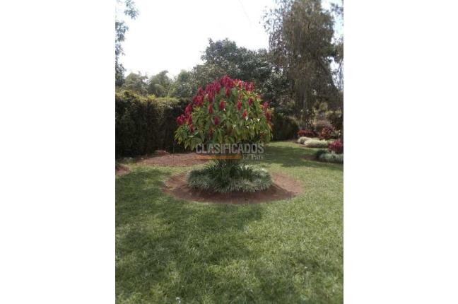 Fincas y Casas Campestres, Venta, Palmira - $1.900.000.000