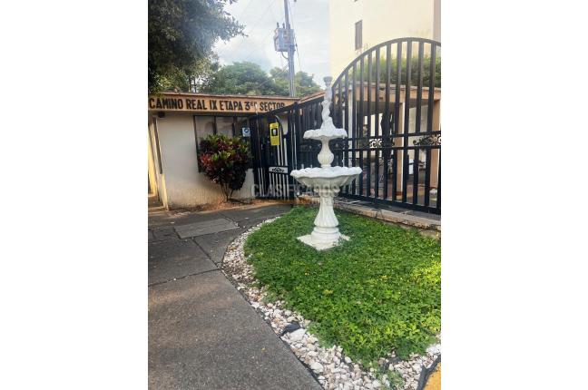 Apartamentos, Alquiler en Camino Real