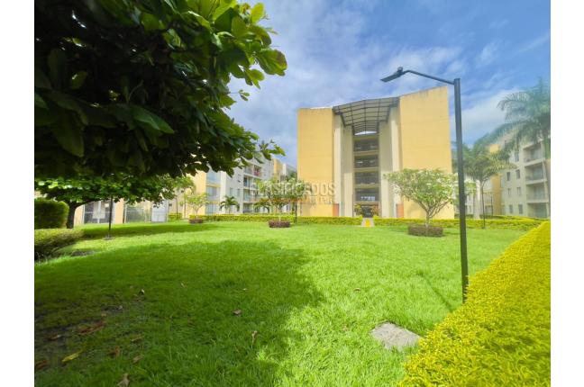 Apartamentos, Venta, Palmira - $285.000.000
