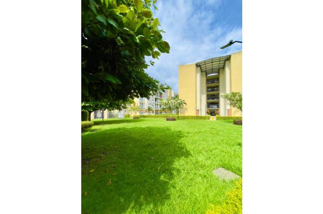 Apartamentos, Venta, Palmira - $285.000.000