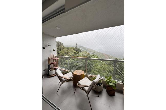 Apartamentos, Alquiler en Bellavista