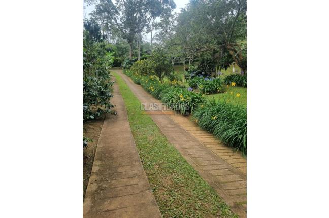 Fincas y Casas Campestres, Venta en Dagua
