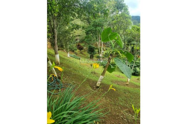 Fincas y Casas Campestres, Venta, Dagua - $450.000.000