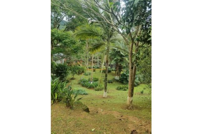 Fincas y Casas Campestres, Venta, Dagua - $450.000.000