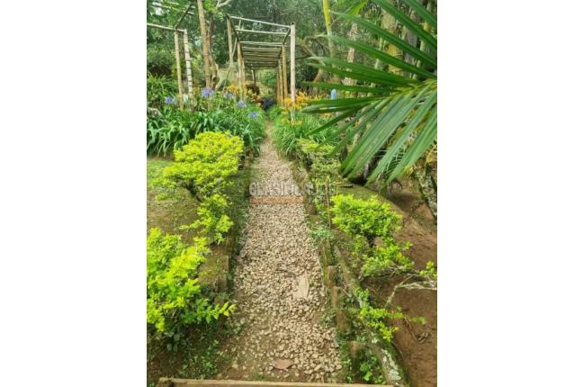 Fincas y Casas Campestres, Venta, Dagua - $450.000.000