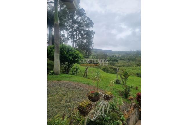 Fincas y Casas Campestres, Venta, Dagua - $450.000.000