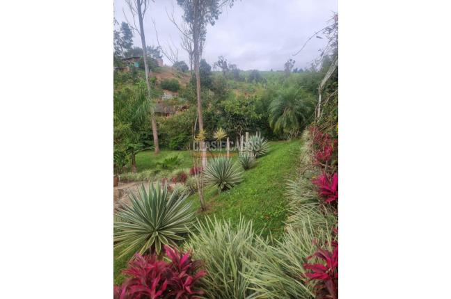 Fincas y Casas Campestres, Venta, Dagua - $450.000.000
