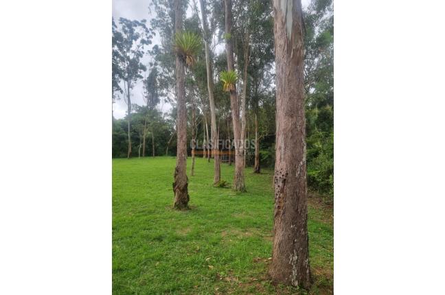 Fincas y Casas Campestres, Venta, Dagua - $450.000.000