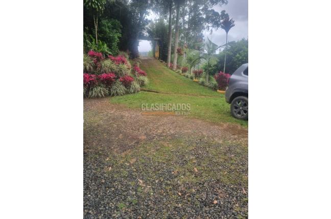 Fincas y Casas Campestres, Venta, Dagua - $450.000.000
