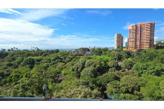 Apartamentos, Venta, Arboleda - $850.000.000