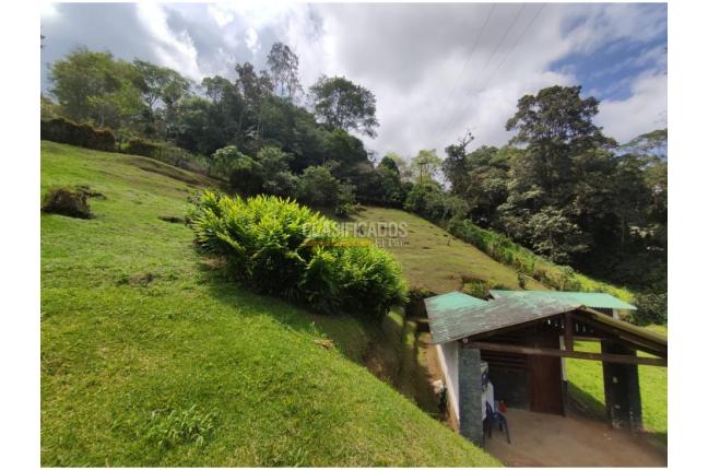Fincas y Casas Campestres, Venta en Dapa