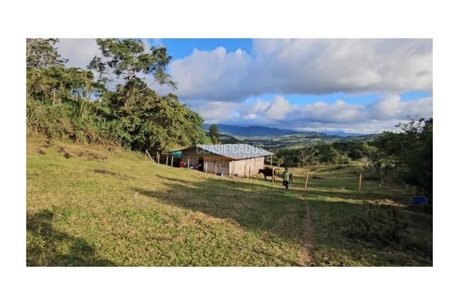 Fincas y Casas Campestres, Venta en La Cumbre