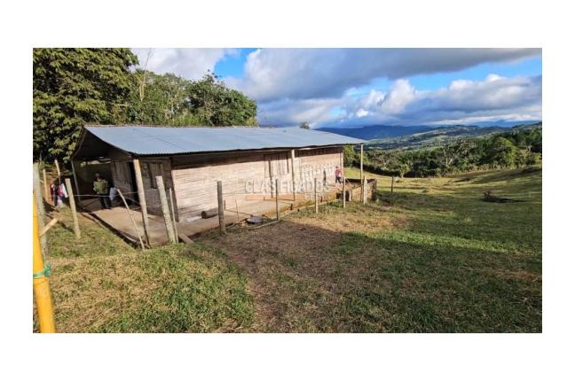 Fincas y Casas Campestres, Venta, La Cumbre - $260.000.000