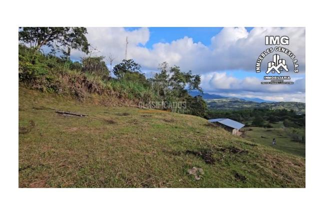 Fincas y Casas Campestres, Venta, La Cumbre - $260.000.000