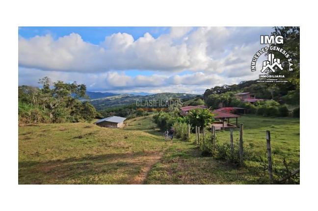 Fincas y Casas Campestres, Venta, La Cumbre - $260.000.000