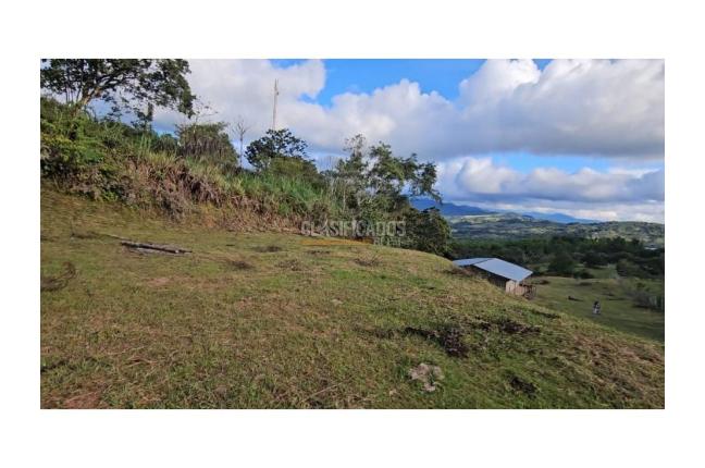 Fincas y Casas Campestres, Venta, La Cumbre - $260.000.000