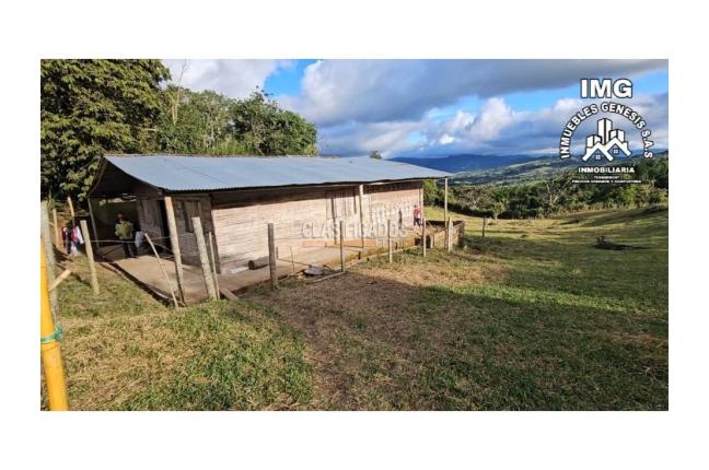 Fincas y Casas Campestres, Venta, La Cumbre - $260.000.000