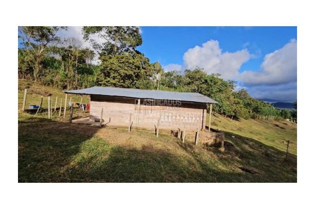 Fincas y Casas Campestres, Venta, La Cumbre - $260.000.000