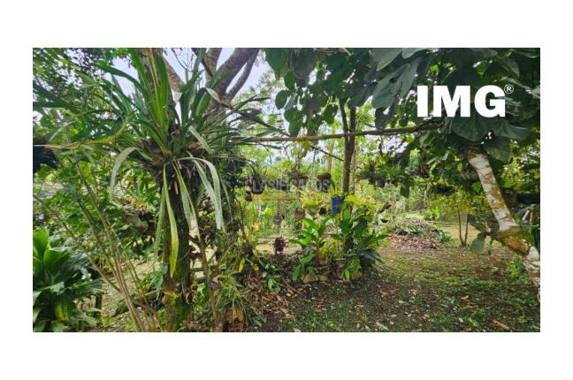 Fincas y Casas Campestres, Venta, La Cumbre - $350.000.000