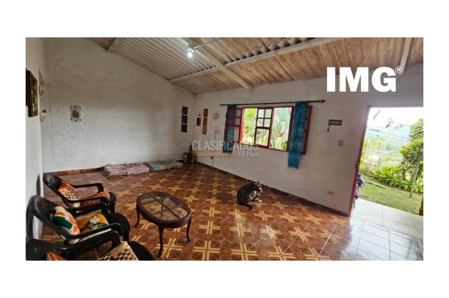 Fincas y Casas Campestres, Venta, La Cumbre - $350.000.000