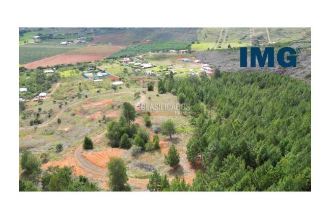 Lotes, Venta, La Cumbre - $180.000.000