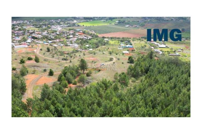 Lotes, Venta, La Cumbre - $180.000.000