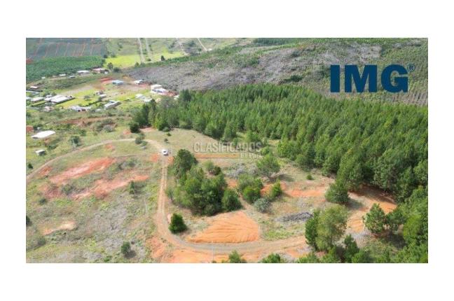 Lotes, Venta, La Cumbre - $180.000.000
