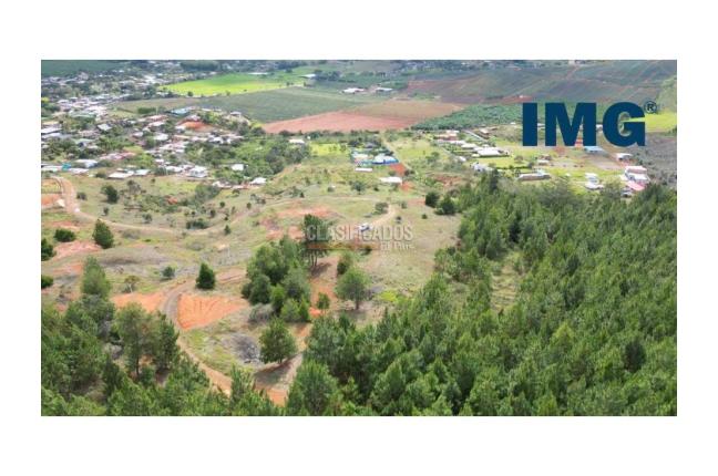 Lotes, Venta, La Cumbre - $180.000.000