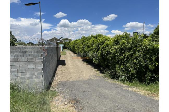 Lotes, Venta en Palmira