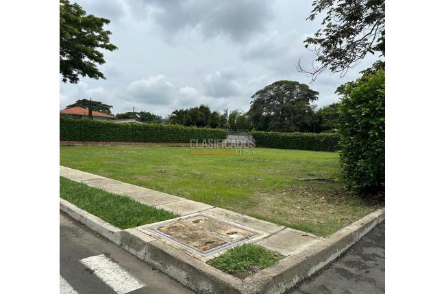 Lotes, Venta, Palmira - $350.000.000