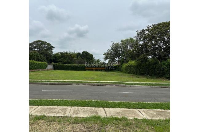Lotes, Venta, Palmira - $350.000.000
