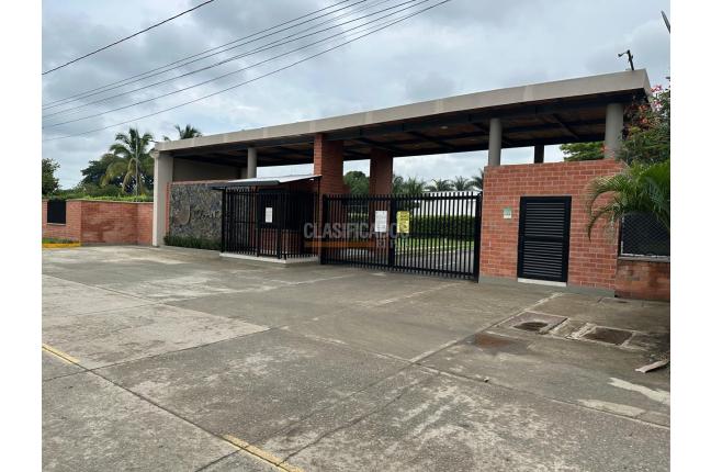 Lotes, Venta, Palmira - $350.000.000