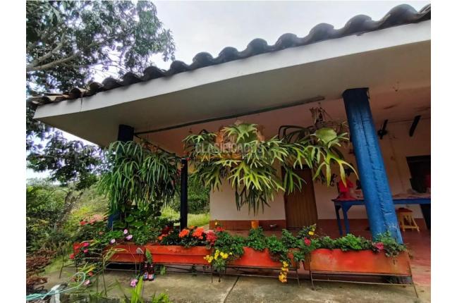 Fincas y Casas Campestres, Venta, Guacarí - $450.000.000