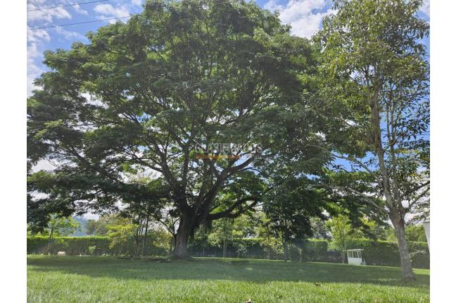 Lotes, Venta, Jamundí - $395.000.000