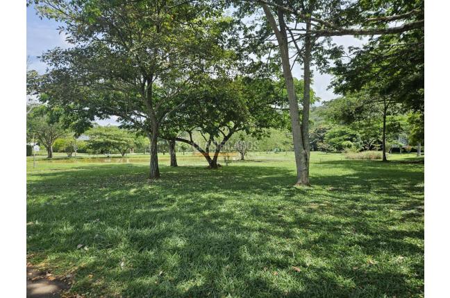 Lotes, Venta, Jamundí - $395.000.000