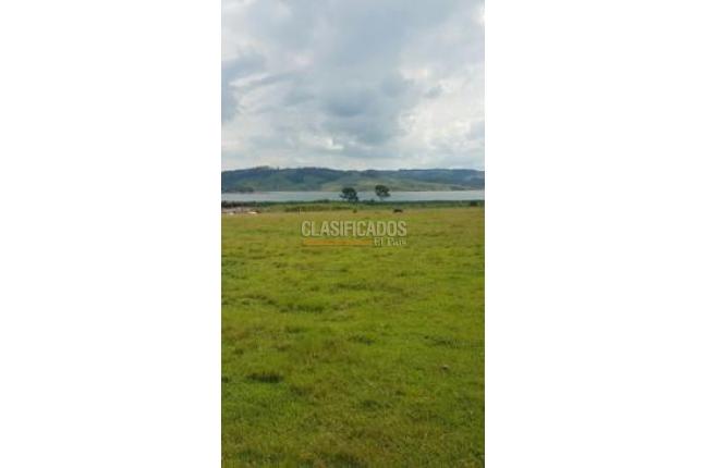 Lotes, Venta en Calima (Darién)