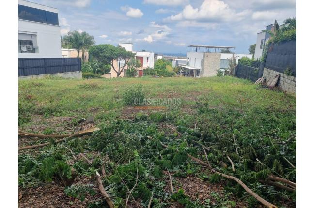 Lotes, Venta en Pance